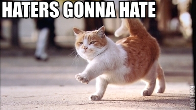 haters-gonna-hate-cat