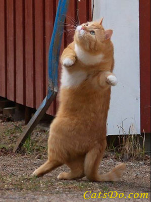 Maybe we all need to do a little more dancing...